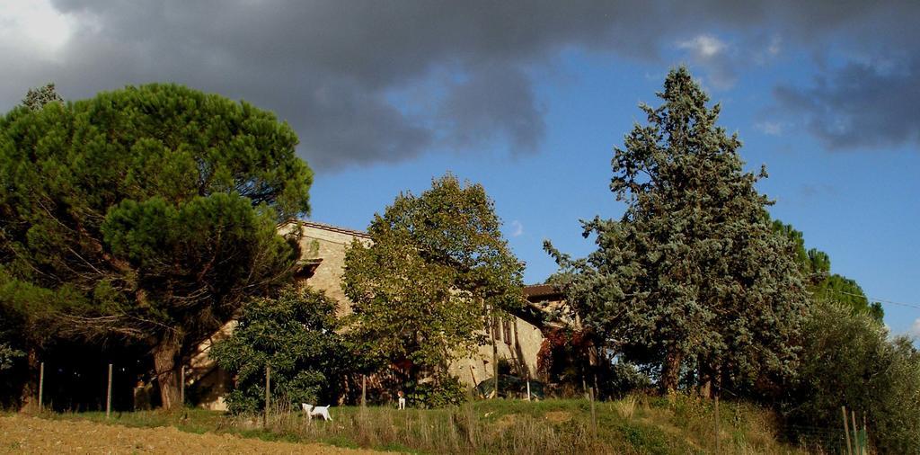 B&B Della Rosa Civitella D'Arna Exterior foto