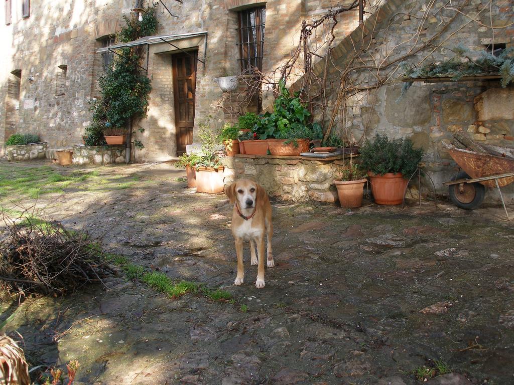 B&B Della Rosa Civitella D'Arna Exterior foto