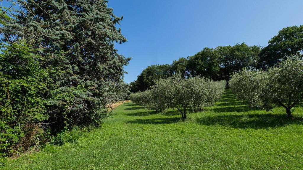 B&B Della Rosa Civitella D'Arna Exterior foto